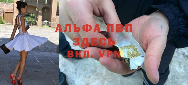 прущие грибы Карпинск