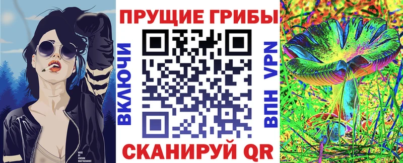 Галлюциногенные грибы Psilocybe  где купить наркотик  omg ссылка  Котельники 
