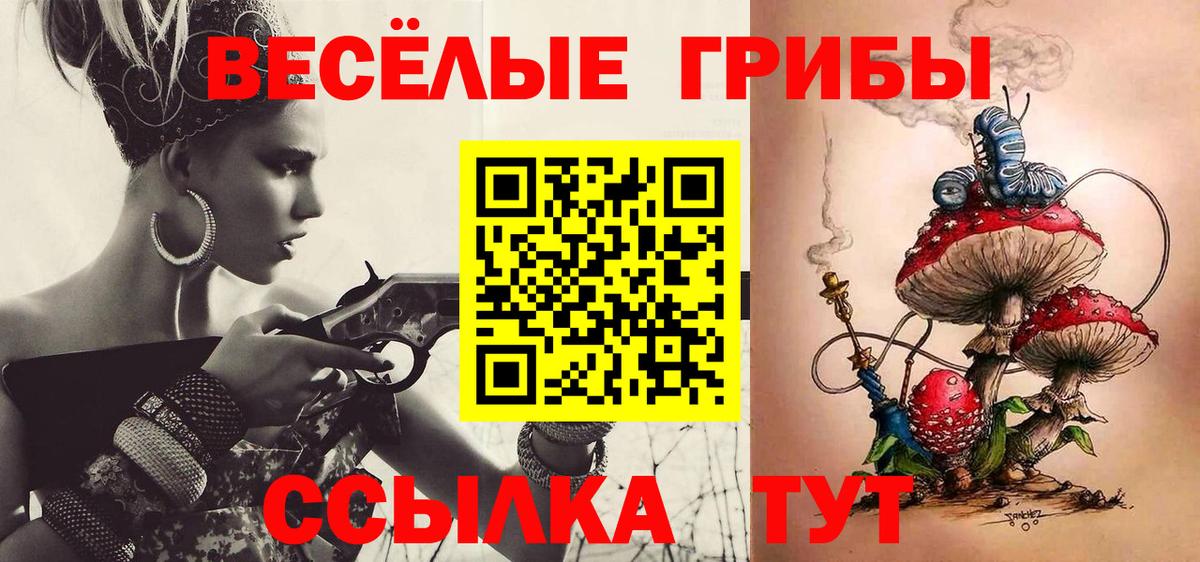 закладка  Псилоцибиновые грибы мухоморы  Котельники  Вход с VPN  Галлюциногенные грибы Psilocybe 