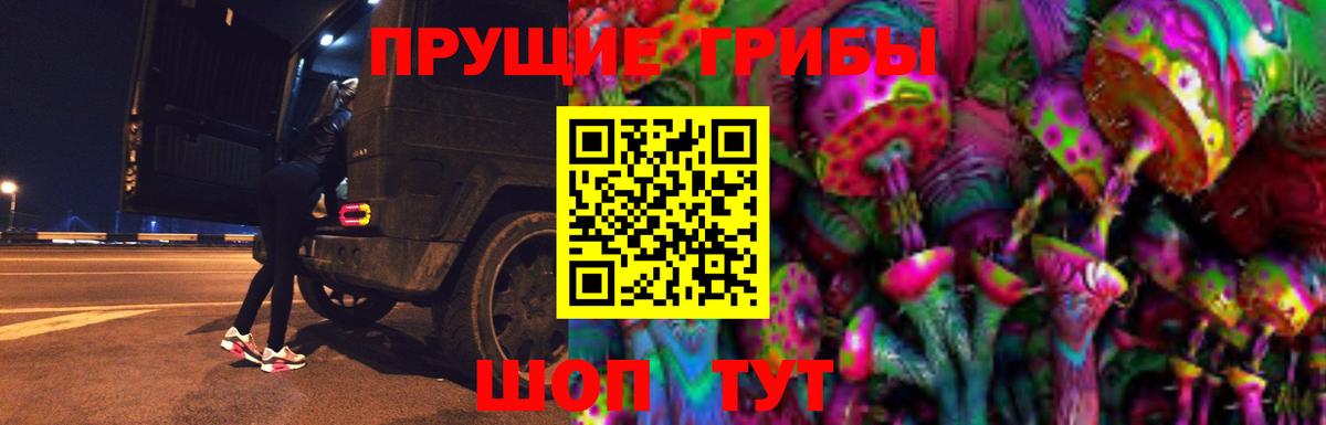 Галлюциногенные грибы Psilocybine cubensis Котельники